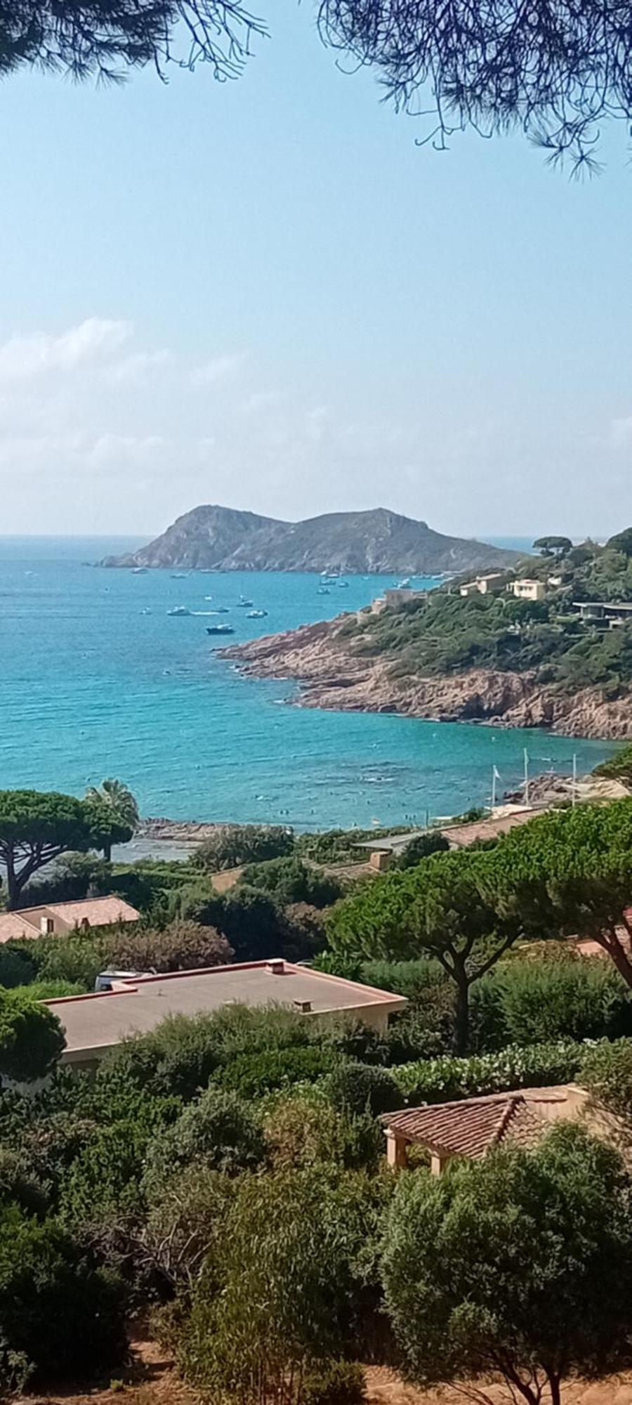 Appartement T2 A La Croix Valmer Piscine Et Tennis Exterior foto